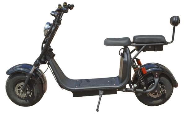 Электрический скутер (самокат) Citycoco Family-3000w в фото 4
