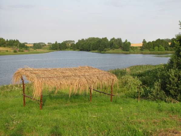 Агроусадьба "Орловские пруды" в фото 4