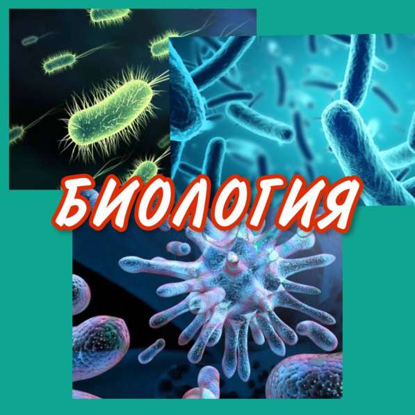 Репетитор по биологии