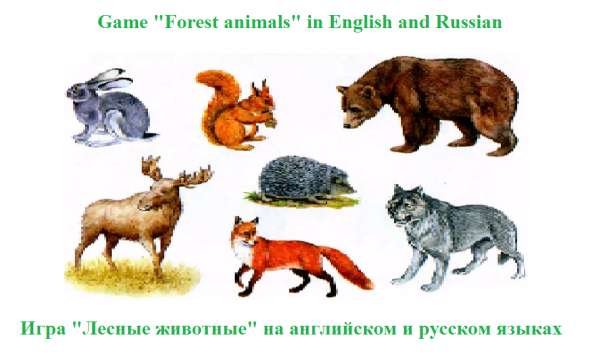 Игра "Лесные животные" на английском, русском и др. языках