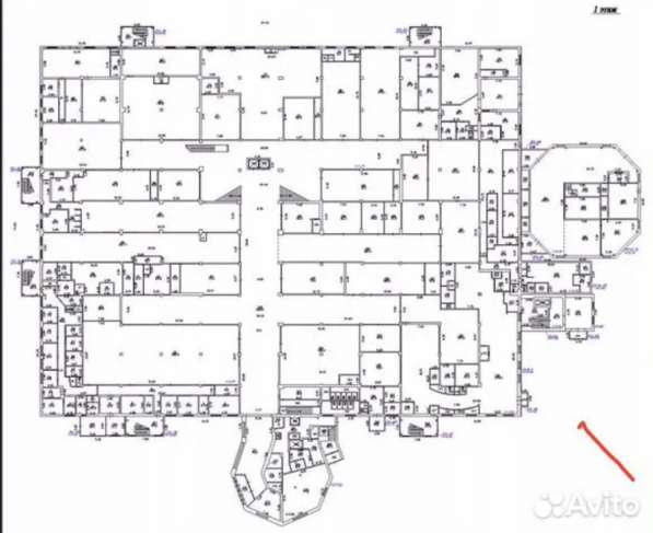 Сдам помещение в ТЦ на первом этаже в Сургуте фото 8