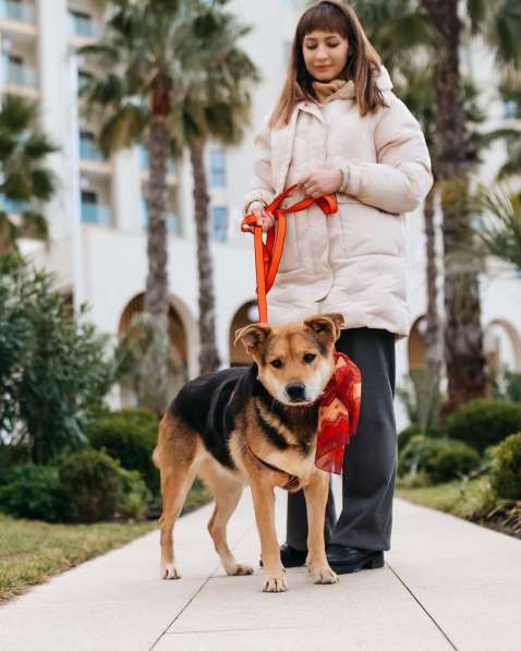 Толстушка ждёт родителей! в Москве