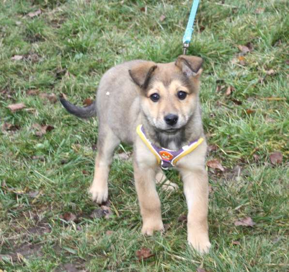 Малышка Нюша очень ждет своего родного ЧЕЛОВЕКА