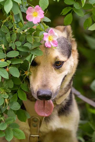 Барри ищет своего человека! в Москве