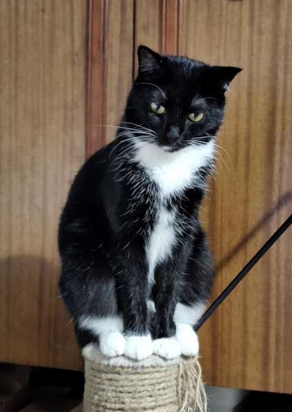 Нежная Амира в 