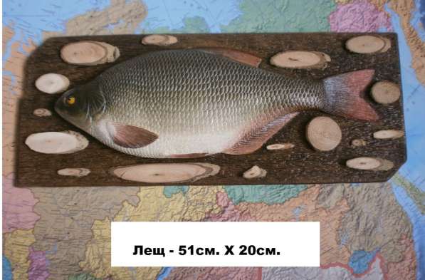 Муляжи рыб в Новосибирске фото 5