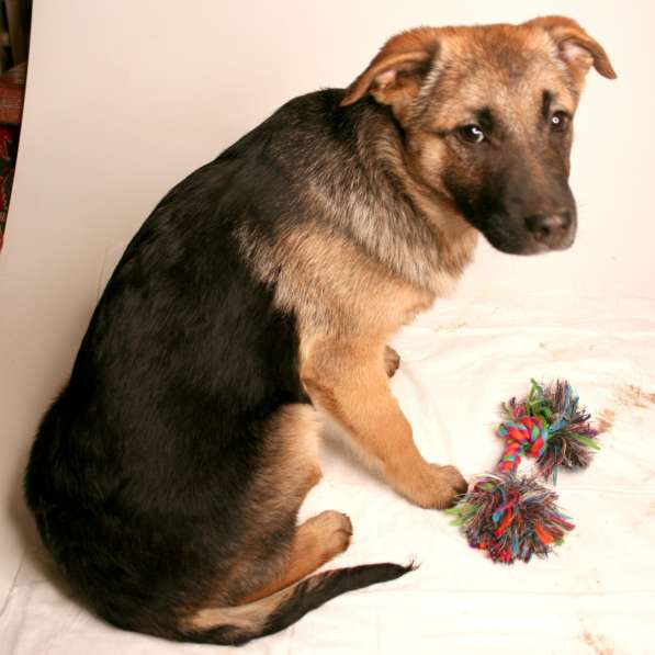 Маленькая Динка ищет семью в Москве фото 18