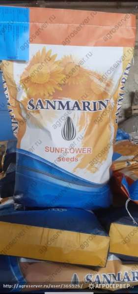 Семена гибрида подсолнечника Санмарин 410 под евролайтинг