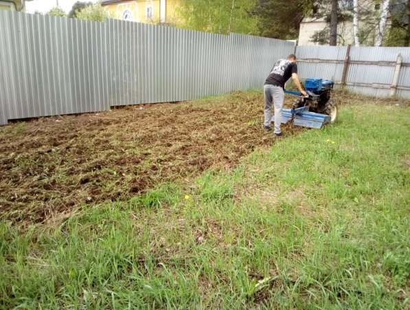 Расчистка участка от травы, кустарников и деревьев в Химках в Химках фото 4