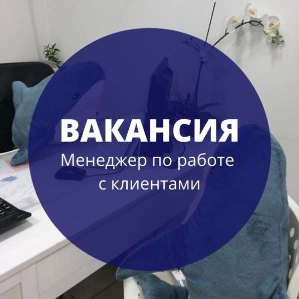 Оператор чата (без звонков)