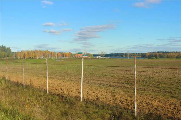 realty_mapper3.plot_in_locationПлощадь 30.00 сот.Есть Электричество. в Твери фото 12