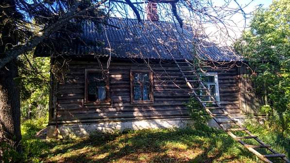 Зимний дом на высоко расположенном живописном хуторе в Пскове фото 17