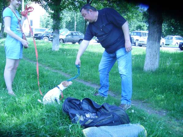 Дрессировка собак у зоопсихолога в Москве фото 3