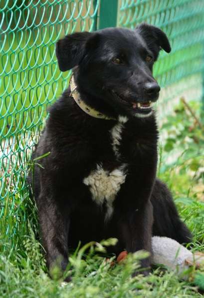 Герда в поисках самого верного друга в Санкт-Петербурге фото 4