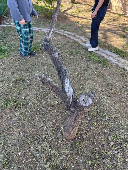 Благоустройство в Москве