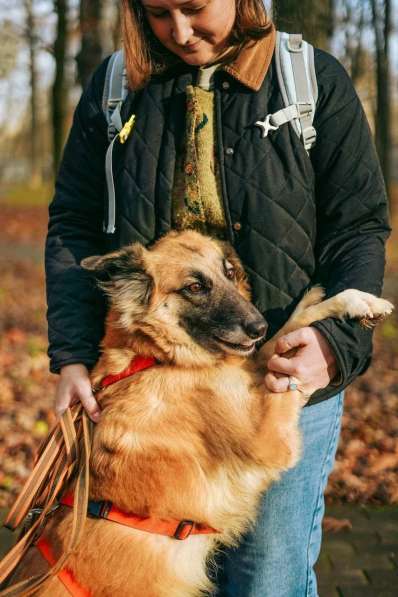 Принцесса Сента ищет дом! в Москве фото 5