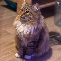 Зовут (Бубенчик), в Калуге