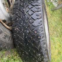 Шипованная зимняя, в Брянске