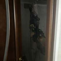 Продаю дом и гараж с складом, в Москве