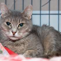 История Пейдж, которая потрясла всех, в Москве