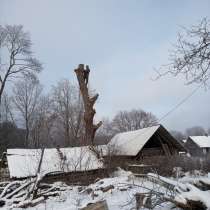 Спилить дерево, в г.Гродно