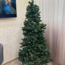 Новогодняя елка, в Новосибирске