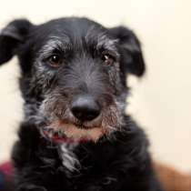 Лиза едет в загородный дом, в Москве