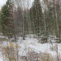 Участок, в Ногинске