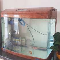 Продается аквариум с рыбками, в г.Атырау