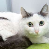 Когда Белочка замурчит в объятиях любимого человека, в Москве