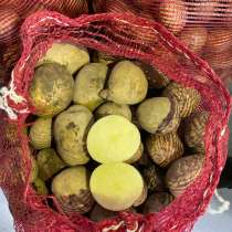 Картофель свежий из Переяславки. Находится в Хабаровске, в Хабаровске