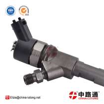 Форсунки Common Rail Howo 0 445 110 307 форсунка евро 4 кама, в г.Tsim Sha Tsui