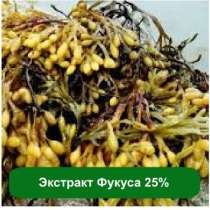 Оптом и розницу Экстракт Фукуса 25%, 1 кг, в г.Киев