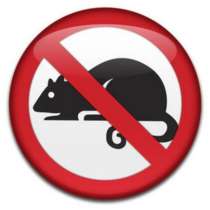 Мыши. Профессиональная борьба с мышами. Гарантия. Скидки, в Москве