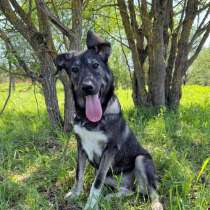 Знакомьтесь &mdash; Руккола!, в Москве