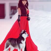 Щеночки Хаски. черно-белые. голубоглазые и разноглазые, в Тихвине