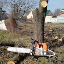 Спилить дерево, в Москве