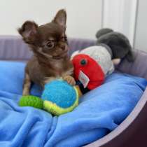 Мини малышка тип Кобби, в г.Нюрнберг