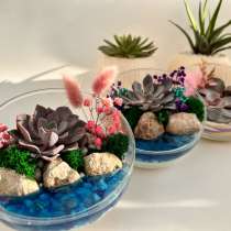 Флорариум, в Перми