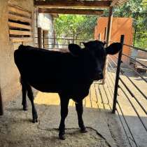 Продается, в Владикавказе