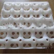 ✔Лотки на 20 гусиных яиц для транспортировки или в инкубатор, в Астрахани