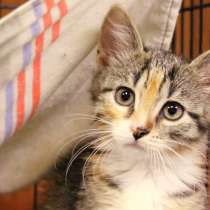 Малышка Аллочка ждет встречи с будушей семьей, в Москве