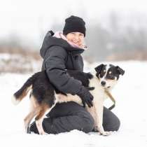 Спокойный и послушный пёс Локи ищет дом, в Москве