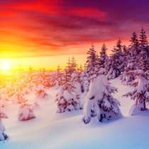 Картины и постеры для дома Магазин-Картин, в Тольятти