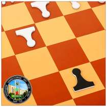 Обучение шахматам и шашкам в Зеленограде для всех желающих, в Зеленограде
