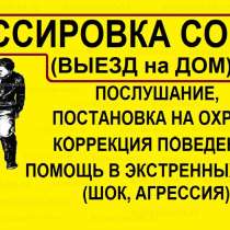 Дрессировка собак, в Щербинке