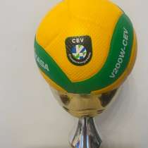 Мяч волейбольный V200 W-CEV, в Москве