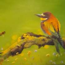 Золотистая щурка, в Москве