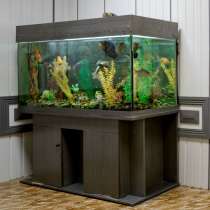 Продам аквариум, в Новосибирске