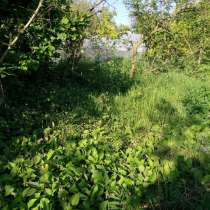 Земельный участок Сочи Адлерский район, в Сочи